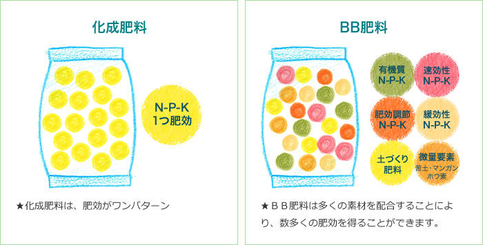 化成肥料 N-P-K1つ肥効 ★化成肥料は、肥効がワンパターン BB肥料 有機質N-P-K 速効性N-P-K 肥効調節N-P-K 緩効性N-P-K 土づくり肥料 微量要素苦土・マンガンホウ素 ★BB肥料は多くの素材を配合することにより、数多くの肥効を得ることができます。